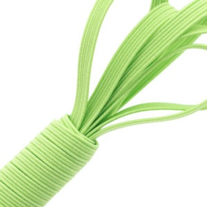 Green polyester elastic braid - 750/050 - D56